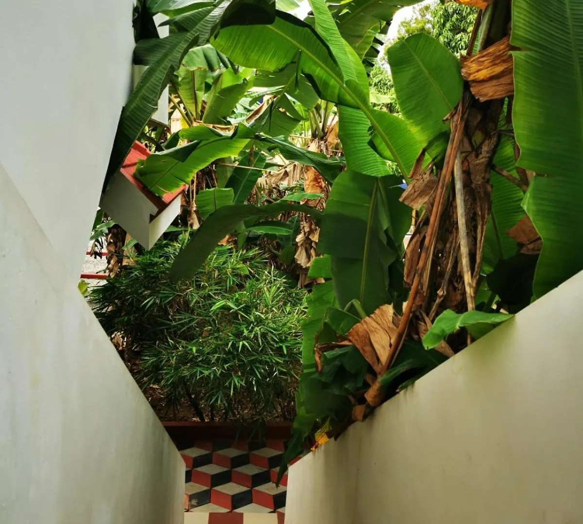 Homestay Tropical Stories Apartment Varkala